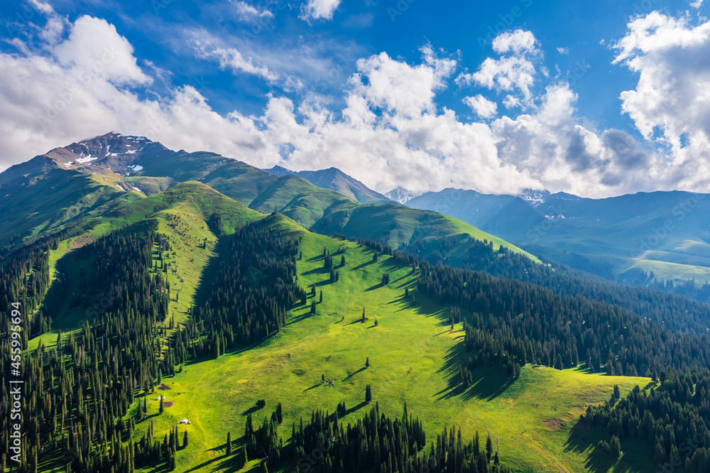 Green grassland and mountain with forest natural landscape in Nalati grassland,Xinjiang,China.Aerial view.Nalati Grassland is China's sky grassland.