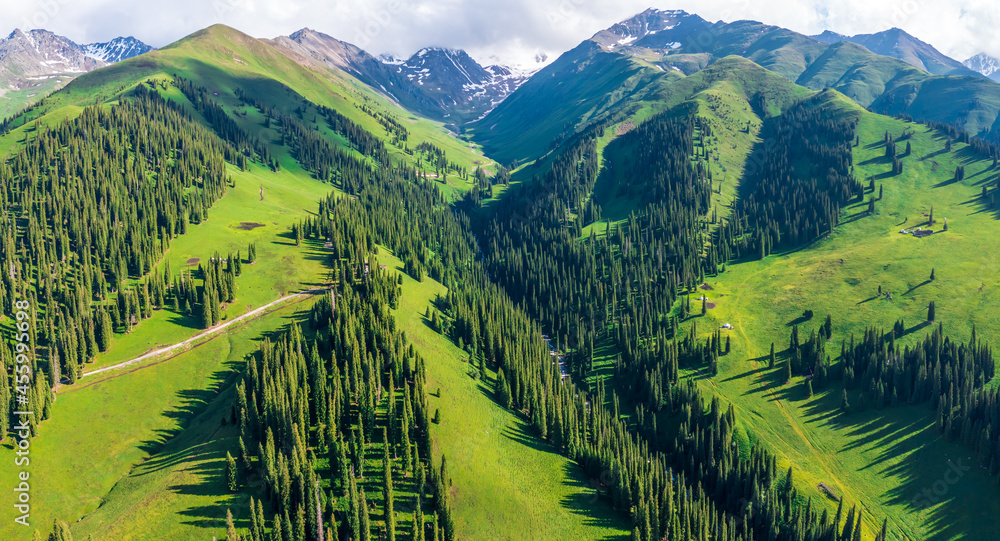 Green grassland and mountain with forest natural landscape in Nalati grassland,Xinjiang,China.Aerial view.Nalati Grassland is China's sky grassland.