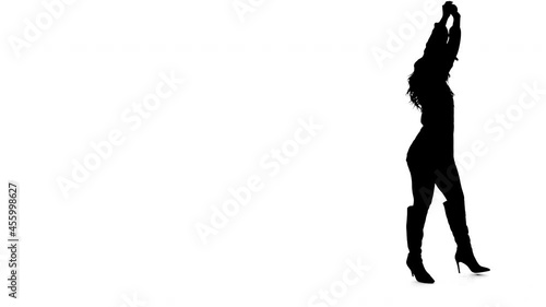 Dancing Girl Silhouette