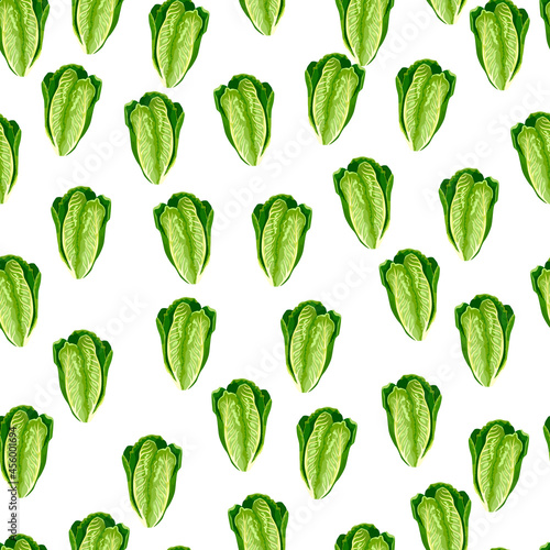 Seamless pattern salad Romano on white background. Simple ornament with lettuce.
