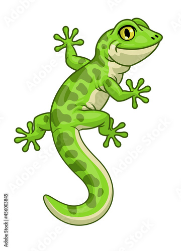 Cute cartoon character of green gecko