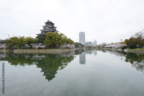 hiroshima sakura