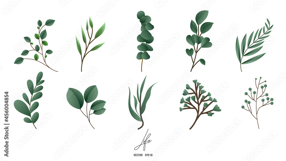 Leaf plant forest herbs tropical leaves isolated on white background , Flat Modern design , illustration Vector EPS 10