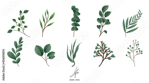 Leaf plant forest herbs tropical leaves isolated on white background   Flat Modern design   illustration Vector EPS 10