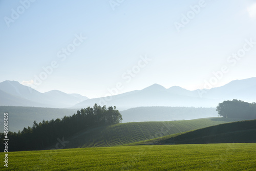 早朝の朝霧につつまれる美瑛の丘の風景 北海道美瑛町の観光イメージ