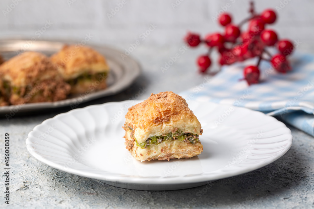 Traditional turkish new dessert cold milky baklava with pistachio (Turkish name; soguk baklava) Traditional turkish new dessert cold milky baklava with pistachio (Turkish name; soguk baklava)