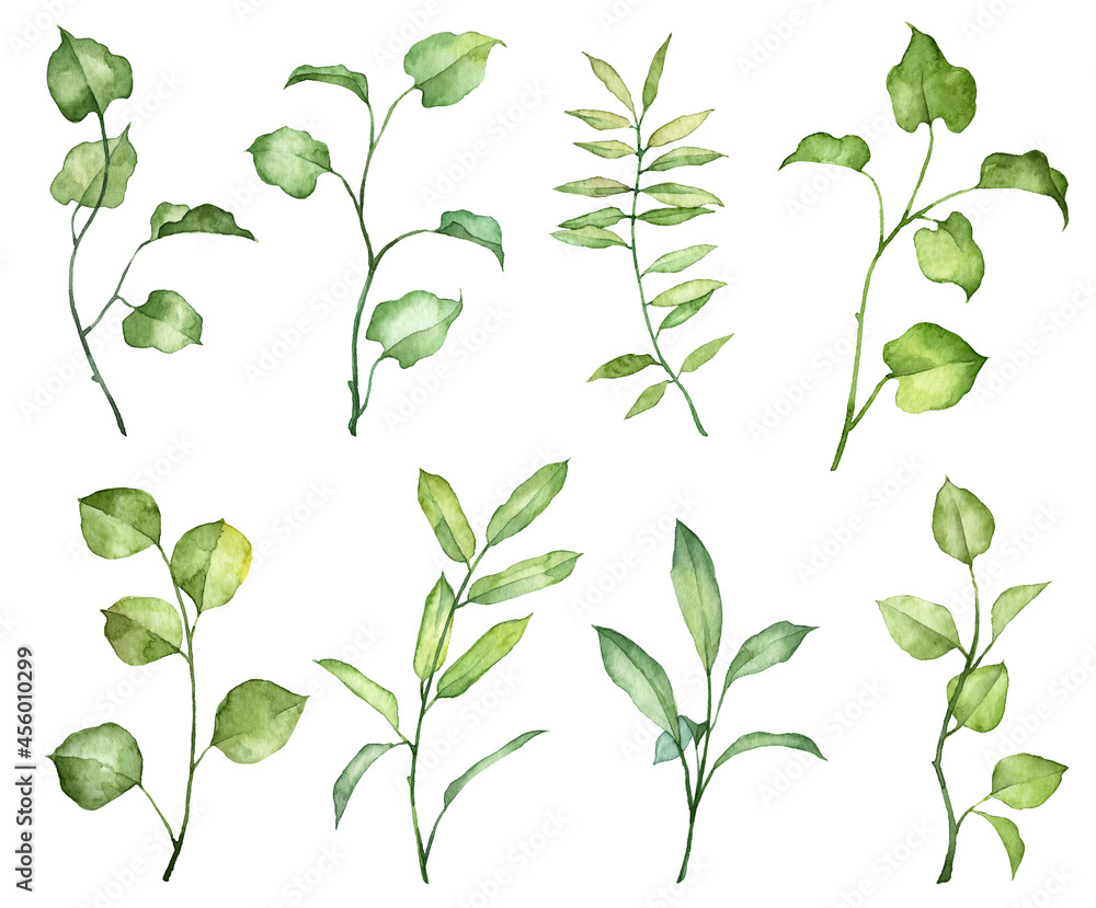 Set of watercolor hand painted green leaves on twigs isolated on white background. Realistic botanical objects. Hand drawn botany plants Set of watercolor hand painted green leaves on twigs isolated on white background. Realistic botanical objects. Hand drawn botany plants