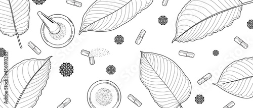 Mitragyna speciosa or Kratom leaves sketch drawn on a white background