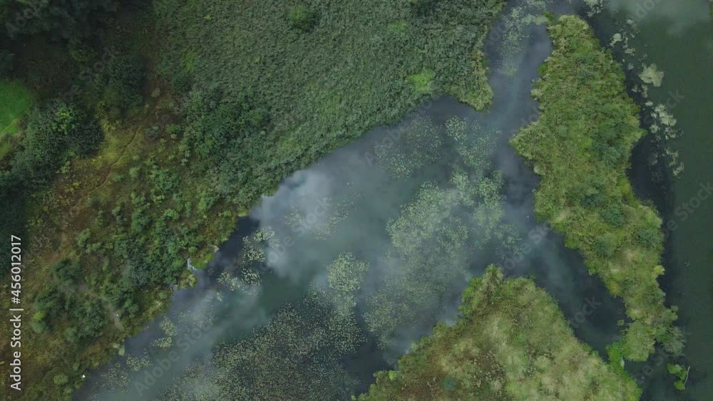 Park area. A winding river with water lilies. Swampy area. Aerial photography. Park area. A winding river with water lilies. Swampy area. Aerial photography.