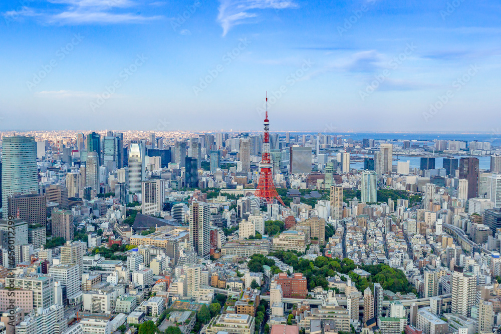 Obraz premium Tokyo Tower with skyline cityscape in Japan