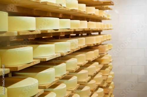 Rows of shelves with maturing cheese heads in a cheese factory. Selective focus