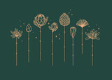 Flowers long stem drawing in art deco style on green background