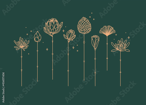 Flowers long stem drawing in art deco style on green background