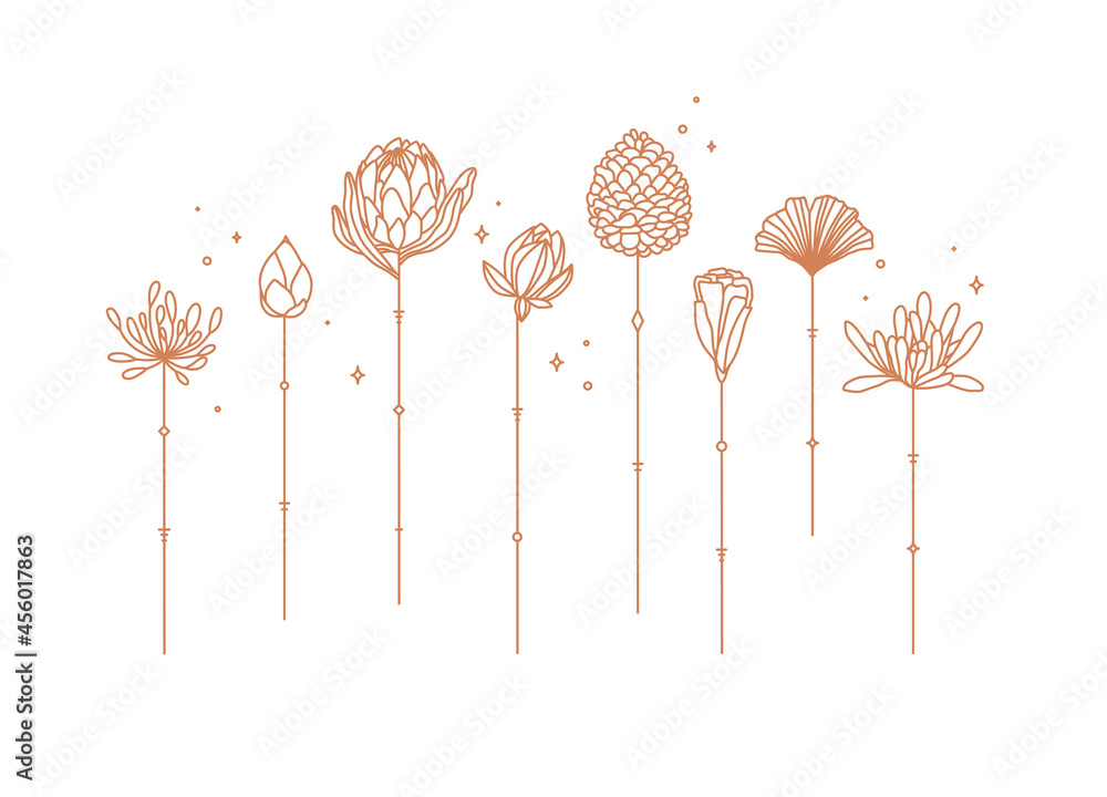 Flowers long stem drawing in art deco style
