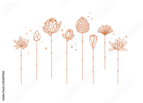 Obraz na płótnie Flowers long stem drawing in art deco style w salonie