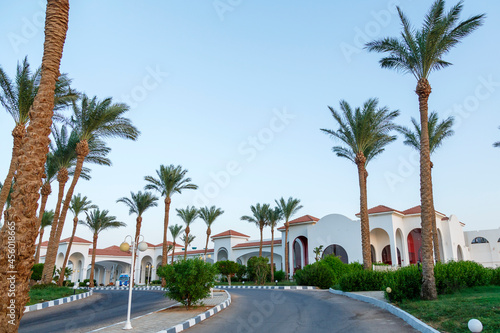 Palm trees along the road leading to a large hotel. © finist_4