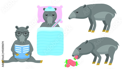 Set Abstract Collection Flat Cartoon  Different Animal Tapirs Stand  Eating Strawberries  Reading Book  Sick In Bed With A Thermometer Vector Design Style Elements Fauna Wildlife