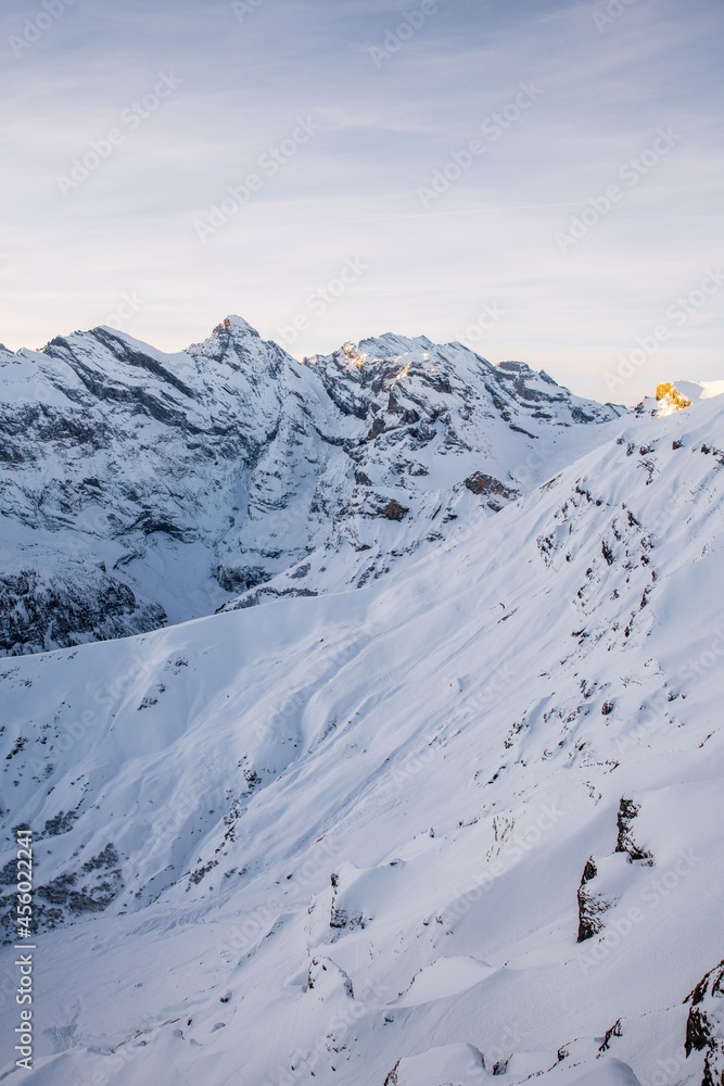 snow covered mountains