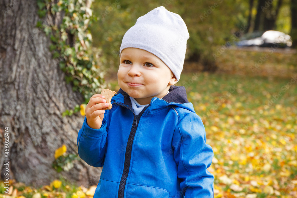 Little baby boy eating biscuit or cookies in autumn park. Dessert for kids Little baby boy eating biscuit or cookies in autumn park. Dessert for kids