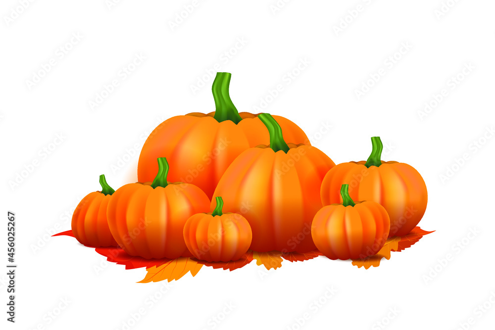 Obraz premium Group of pumpkins on white background.Autumn pumpkin with fall leaves in September. Isolate vector illustration of pumpkin for Autumn season