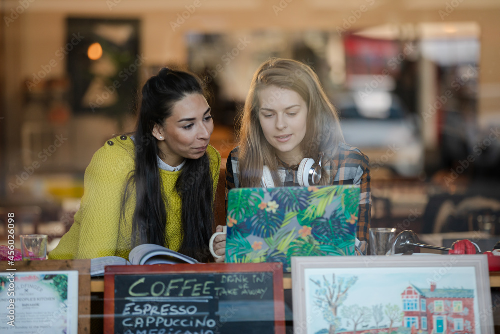 Fototapeta premium Young female college students studying at laptop in cafe window