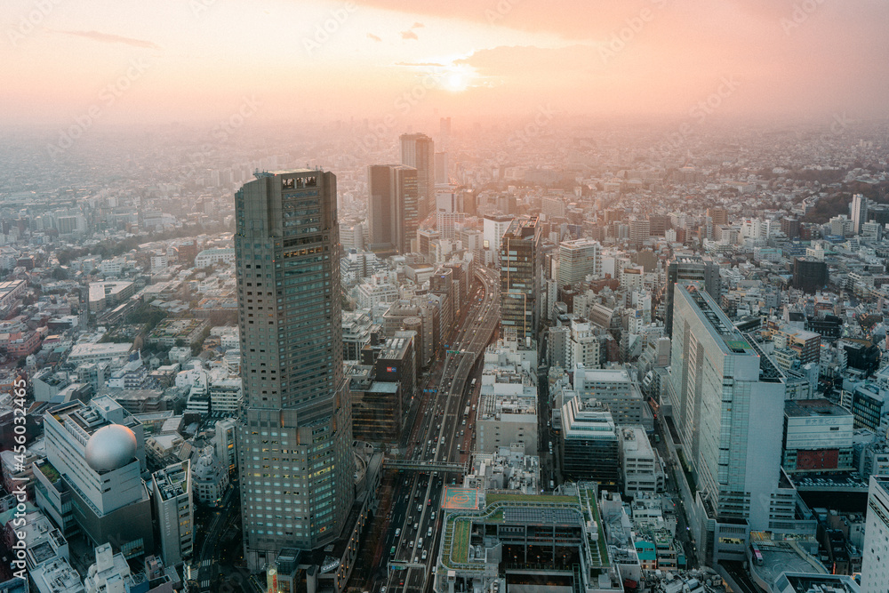 Naklejka premium Tokyo city skyline at sunset.