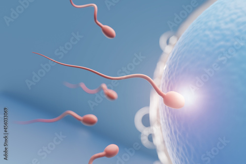 Close up of Sperm swimming towards the blue egg in a blue background. 3D Illustration Rendering.