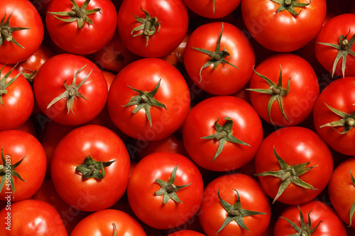 Close-up of ripe fresh red tomatoes. Food background. Top view.
