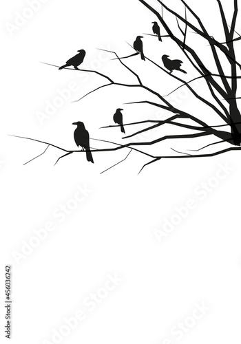 Silhouettes of crows on tree branches on white background. Blank space