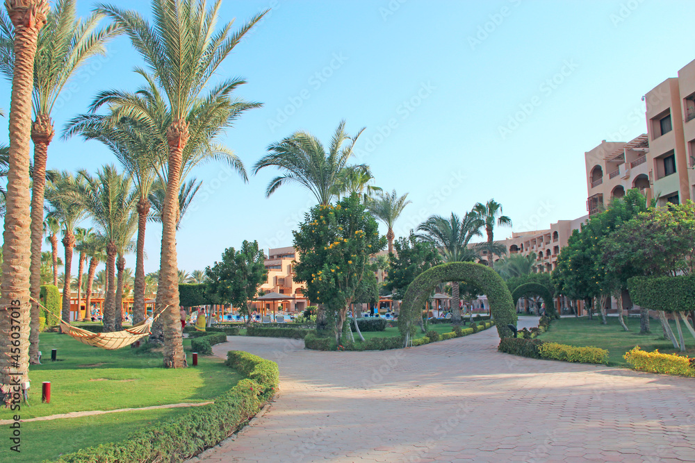Obraz premium Grassy lawn among palm trees at resort. Hotel with well-groomed territory