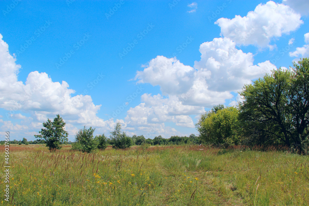 Summer landscape with rural field and white clouds on blue sky