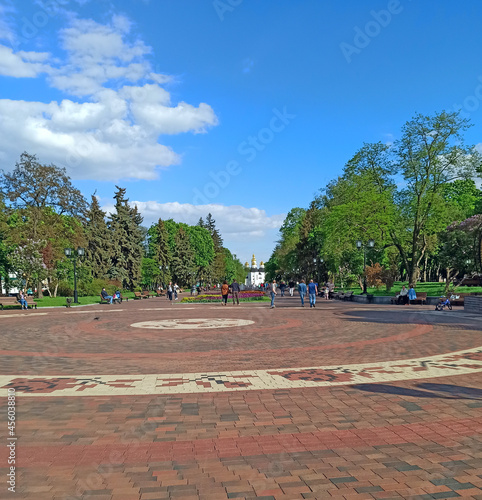 People walking in summer city park with big trees. Stroll in park