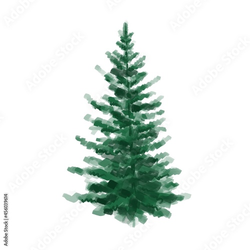 Fir tree isolated on white