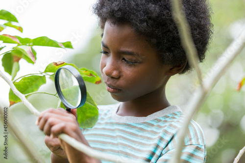 Happy African American boy looking at leaves through magnifying glass. Education, field trips, researcher and discovery concept