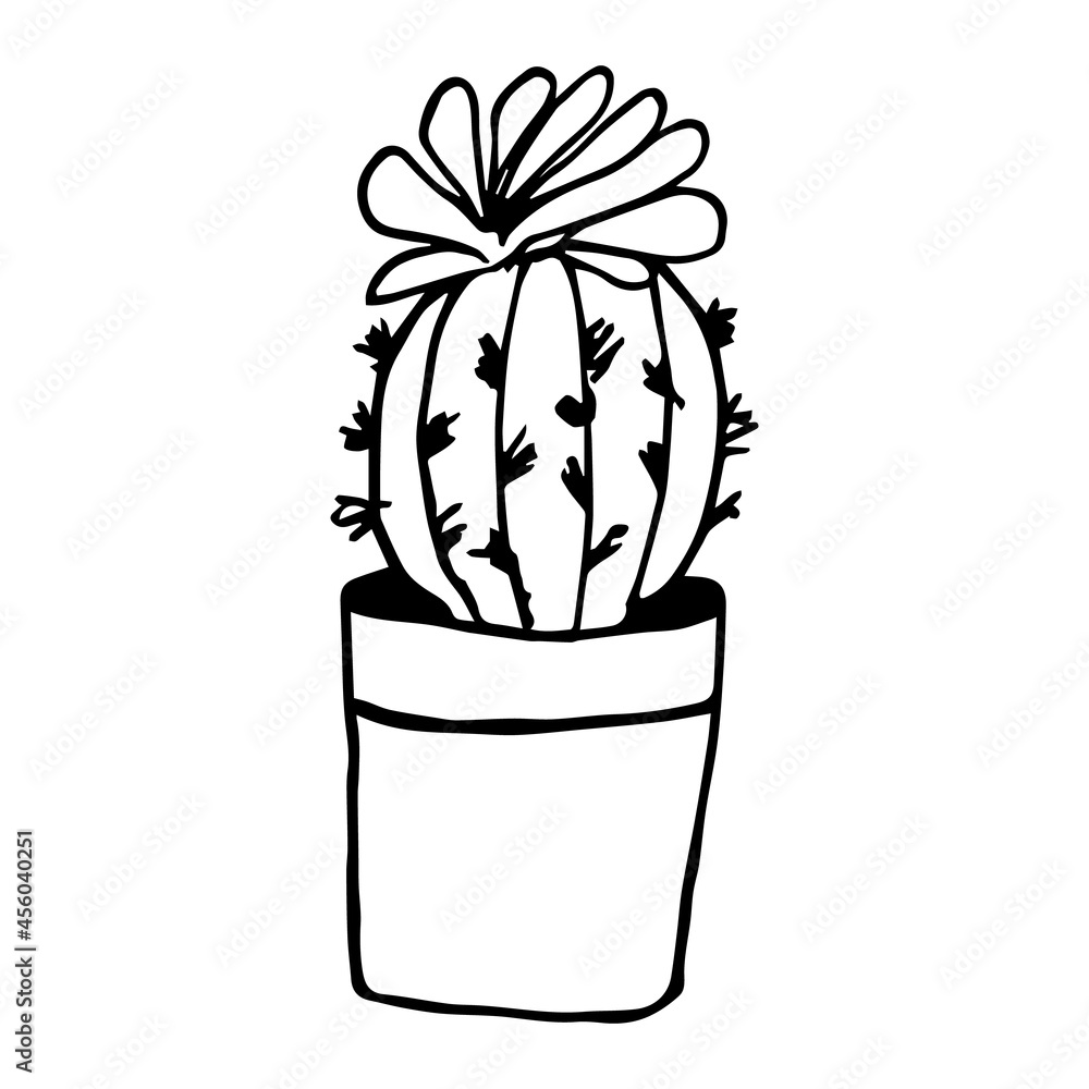 Houseplant in the pot in doodle style. Hand drawn potted plant for home. Hand drawn simple black outline vector illustration in cartoon doodle style, isolated. Home gardening