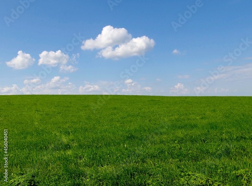 a green meadow on a blue sky with white clouds background