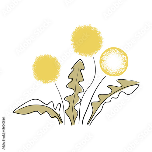 Abstract dandelion flower isolated on white background. Trendy one line vector sketch illustration.
