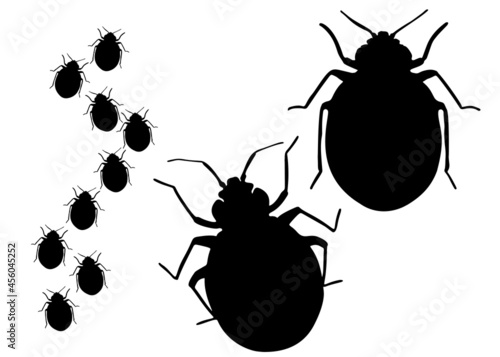 Large bedbugs and bedbug paths. Vector image. photo