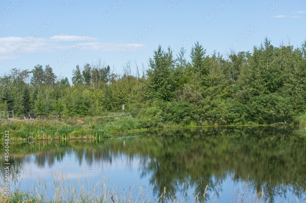 Pylypow Wetlands on a Late Summer Day