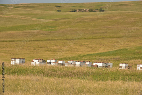 Rural Agricultural Fields with Bee Hives Stacked