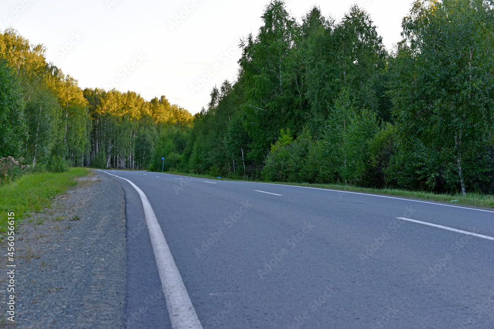 Asphalt high-speed highway in the forest in summer Asphalt high-speed highway in the forest in summer