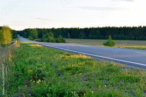 Asphalt high-speed highway in the forest in summer photo