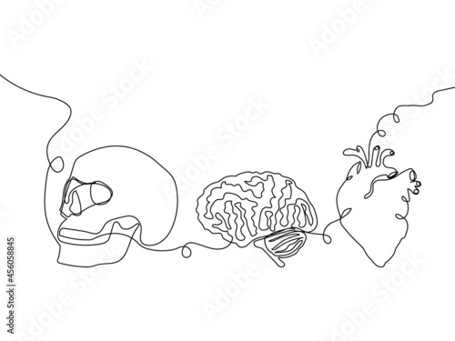 Human internal organs one line set art. Continuous line drawing of bones, skeleton, skull, heart, aorta, ventricles, brain, cerebellum.