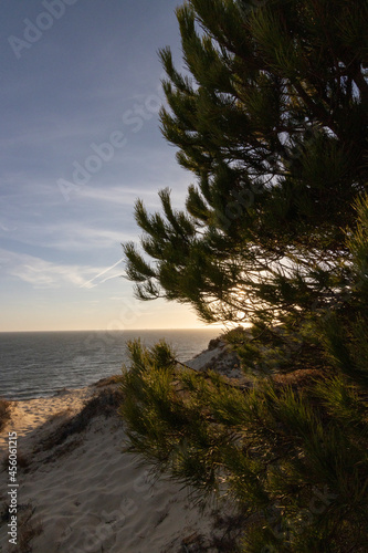 Spain's longest coastline is the coast of Huelva. From "Matalascanas" to "Ayamonte". Coast with cliffs, dunes, pine trees, green vegetation. It is considered one of the most beautiful beaches in Spain © mialcas