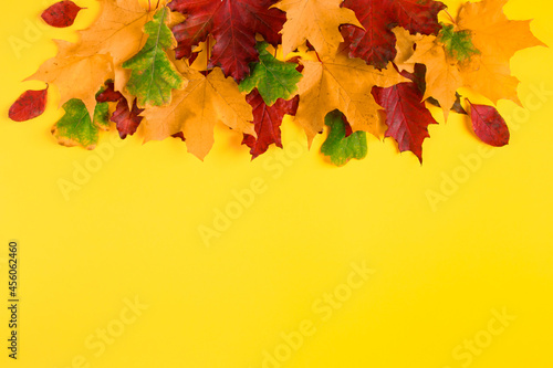 Frame from fallen autumn maple leaves on a bright yellow background. Colorful fall foliage. Backdrop for design.