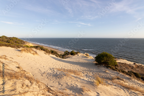Spain s longest coastline is the coast of Huelva. From  Matalascanas  to  Ayamonte . Coast with cliffs  dunes  pine trees  green vegetation. It is considered one of the most beautiful beaches in Spain