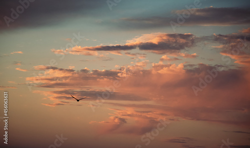 Fototapeta Naklejka Na Ścianę i Meble -  clouds at sunset