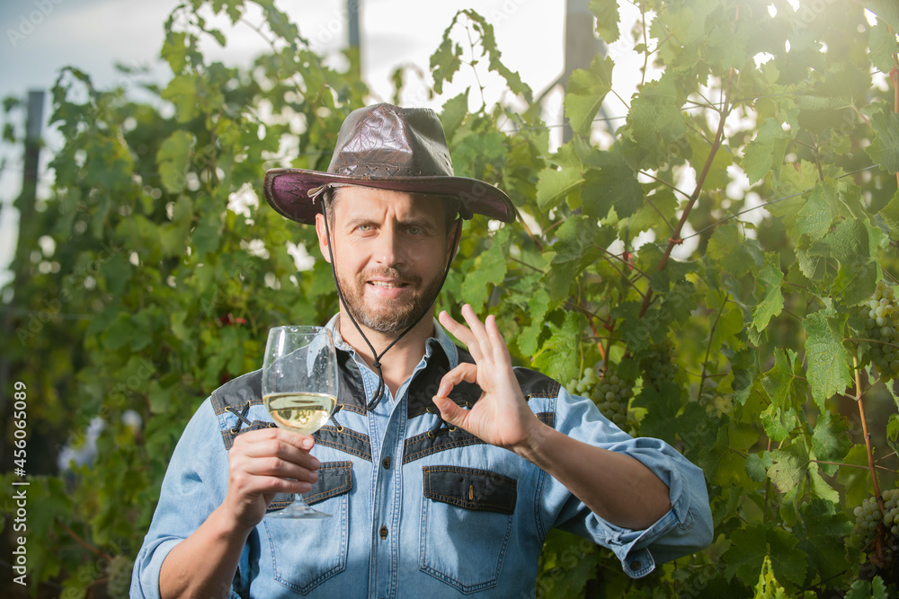 sommelier. farmer drink wine. cheers. vinedresser drinking. male vineyard owner.