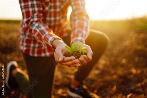Valokuvatapetti Male hands touching soil on the field