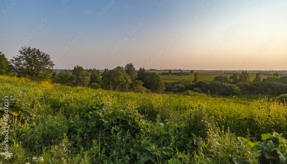 Fototapeta premium Landscape with field, wildflowers, bushes, grass, trees against the sky with the setting sun